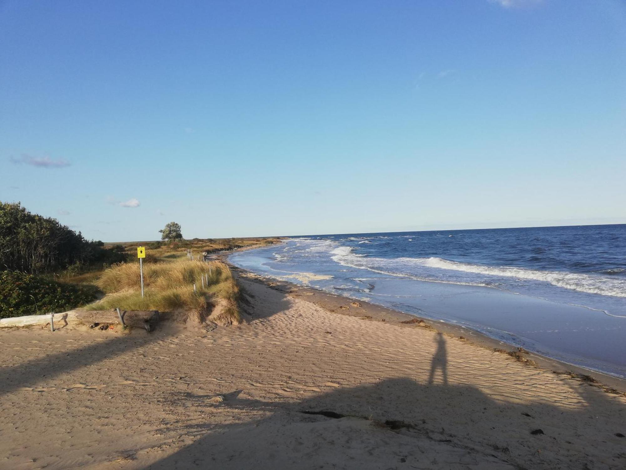 Strandloewe Kuehlungsborn Ostsee المظهر الخارجي الصورة